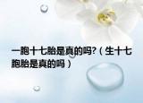 一胞十七胎是真的吗?（生十七胞胎是真的吗）