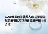 1000元买的玉能养人吗 只要是天然的玉石就可以具体情况详细内容介绍