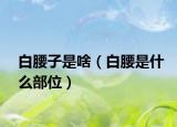 白腰子是啥（白腰是什么部位）