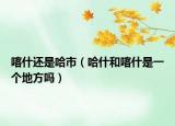喀什还是哈市（哈什和喀什是一个地方吗）