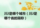 川J是哪个城市（川J是哪个省的简称）