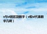 v与vi的区别数字（v和vi代表数字几啊）