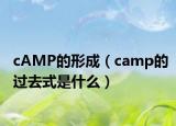 cAMP的形成（camp的过去式是什么）