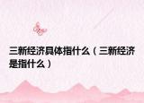三新经济具体指什么（三新经济是指什么）