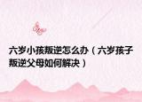 六岁小孩叛逆怎么办（六岁孩子叛逆父母如何解决）