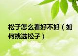 松子怎么看好不好（如何挑选松子）