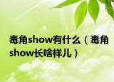 毒角show有什么（毒角show长啥样儿）