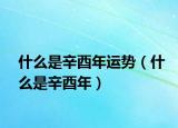 什么是辛酉年运势（什么是辛酉年）