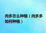 肉多怎么种植（肉多多如何种植）