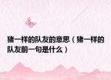 猪一样的队友的意思（猪一样的队友前一句是什么）