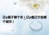 辽p属于哪个市（辽p是辽宁省哪个城市）
