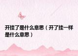 开挂了是什么意思（开了挂一样是什么意思）