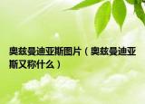 奥兹曼迪亚斯图片（奥兹曼迪亚斯又称什么）