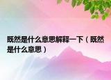 既然是什么意思解释一下（既然是什么意思）