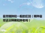 翡翠糯种和一般的区别（糯种翡翠还分种嫩和种老吗）