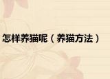 怎样养猫呢（养猫方法）