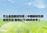 怎么查询邮政包裹（中国邮政包裹查询方法 推荐以下4种供参考）
