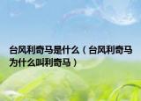 台风利奇马是什么（台风利奇马为什么叫利奇马）