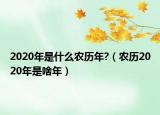 2020年是什么农历年?（农历2020年是啥年）