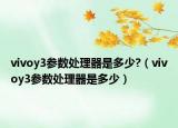 vivoy3参数处理器是多少?（vivoy3参数处理器是多少）