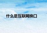什么是互联网换口