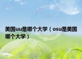 美国uu是哪个大学（osu是美国哪个大学）