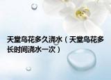 天堂鸟花多久浇水（天堂鸟花多长时间浇水一次）