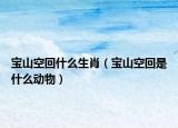 宝山空回什么生肖（宝山空回是什么动物）