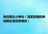 情侣网名小神仙（温柔到爆的神仙网名情侣有哪些）