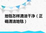 地毯怎样清洁干净（正确清洁地毯）
