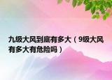 九级大风到底有多大（9级大风有多大有危险吗）