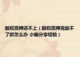 股权质押还不上（股权质押完放不了款怎么办 小编分享经验）
