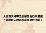 大棚夏天种哪些蔬菜最合适啊温州（大棚夏天种哪些蔬菜最合适啊）