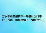 万水千山总是情下一句是什么行不行（万水千山总是情下一句是什么）