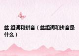 盆 组词和拼音（盆组词和拼音是什么）