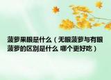 菠萝果眼是什么（无眼菠萝与有眼菠萝的区别是什么 哪个更好吃）