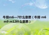 牛排m6—7什么意思（牛排 m6 m9 m12什么意思）