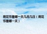 荷花节是哪一天几月几日（荷花节是哪一天）
