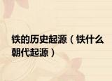 铁的历史起源（铁什么朝代起源）
