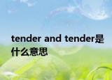 tender and tender是什么意思