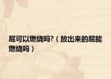 屁可以燃烧吗?（放出来的屁能燃烧吗）