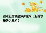 四点五英寸是多少厘米（五英寸是多少厘米）
