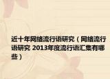 近十年网络流行语研究（网络流行语研究 2013年度流行语汇集有哪些）