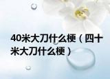 40米大刀什么梗（四十米大刀什么梗）