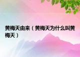 黄梅天由来（黄梅天为什么叫黄梅天）