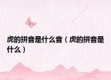 虎的拼音是什么音（虎的拼音是什么）