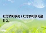 壮志骄阳歌词（壮志骄阳歌词是什么）