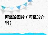 海鲎的图片（海鲎的介绍）