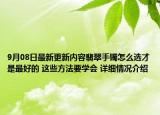 9月08日最新更新内容翡翠手镯怎么选才是最好的 这些方法要学会 详细情况介绍