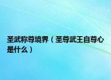 圣武称尊境界（圣尊武王自尊心是什么）